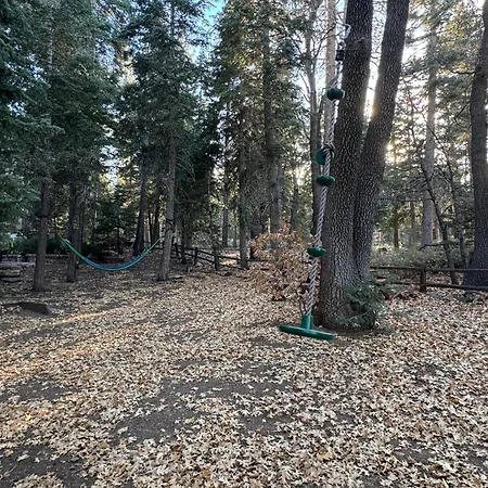 Cornerstone Cabin -Fun And Cozy Home With A Hot Tub That Backs To The National Forest!